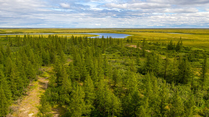 Landscape of the forest-tundra and the sandy river bank, bird's eye view.Arctic Circle, tunda. Beautiful landscape of  tundra from a helicopter.