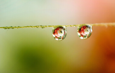drop of water