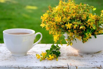 Yellow flowers of medicinal plant St. John's wort or hypericum   and a cup of tea from it on white wooden table on background of the meadow.