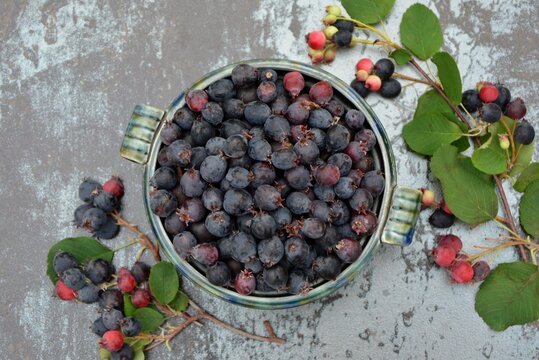Berries of shadberry in a bowl on blue background close-up top view.