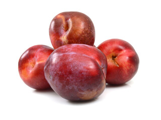 Red plum fruit isolated on white background