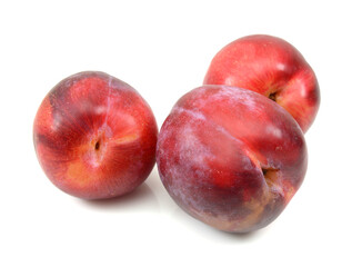 Red plum fruit isolated on white background