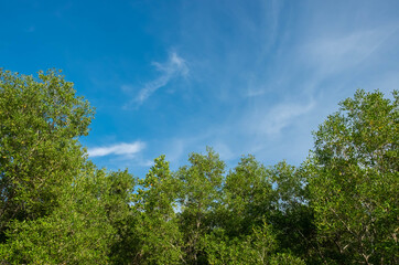 Good weather and beautiful sky.sky background.Beautiful blue sky.