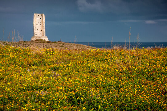 Otranto - La torre del serpe