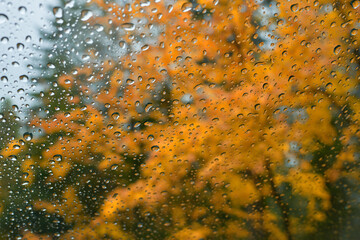 Raindrops on the glass with an autumn forest view behind it. Focus on the drops.