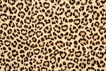 Poster de jardin Léopard texture de fond de peau de léopard, conception rétro de vraie fourrure, cheveux d& 39 animail sauvages en gros plan modernes