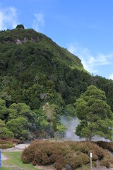mountain landscape with trees
