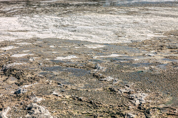 Sinter terraces in Wai-O-Tapu geothermal area