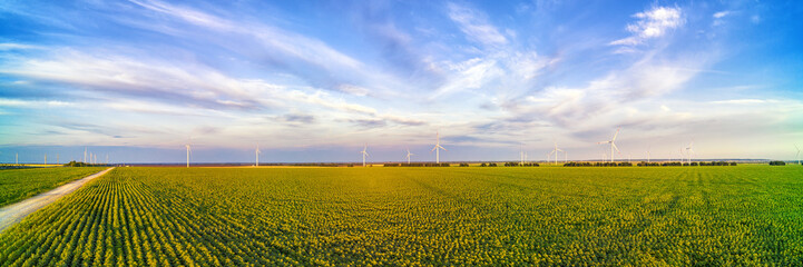 Wind power plant in the green field against cloudy sky panoramic