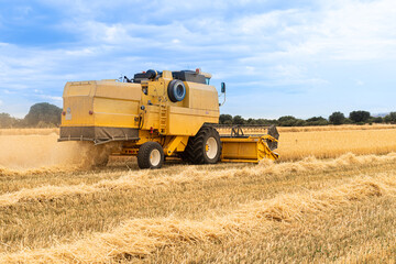 Obraz premium grain collection through mealic processes and in the light of the day..