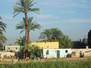 Egypte, village sur les rives du  Nil