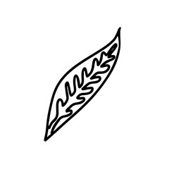 Illustration of a black leaf isolated on a white background