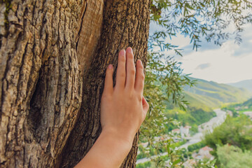 A close-up POV shot of an unrecognizable young Caucasian woman’s hand touching the bark of a tree...