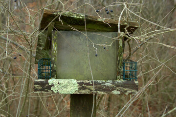 bird house in the woods