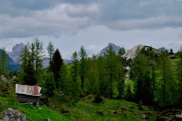 Fototapeta na wymiar mountain landscape in the alps