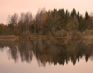 Fototapeta na wymiar lake in the morning, wolf face, soft focus