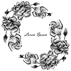 Rose background frame, Lorem Ipsum. Flowers stroke monochrome hand drawn ink sketch for web, for print