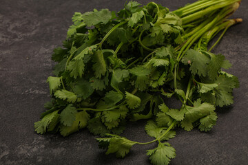 Green coriander or cilanto leaves heap