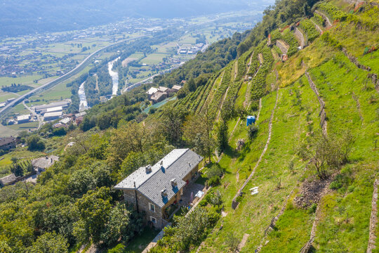 Farms on hills of terraced vineyards, Costiera dei Cech, Valtellina, Sondrio province, Lombardy