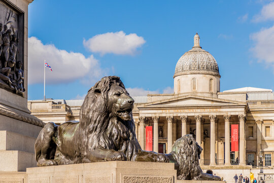 Trafalgar Square Lions and the National Gallery, Trafalgar Square, London