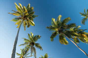 Playa los Angeles, Magdalena Department, Colombia