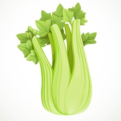 Stem of juicy celery isolated on white background