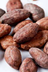 Unpeeled Cocoa Beans Closeup