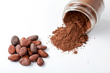 Cocoa Beans and Jar of Cocoa Powder on White Background.