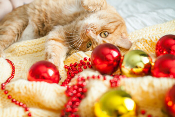 A fat lazy ginger cat lies on a knitted yellow blanket with New Year's toys: gold and red balls.