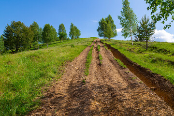 Obraz premium Walking trail to the mountain Makovytsya. Carpathians. Ukraine