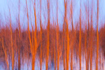 Sunset,  Myvatn, North Iceland, Iceland, Europe