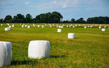 A way to preserve hay quality is animal feed in vacuum packaging.