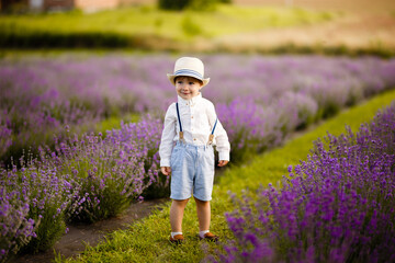 Little boy walking on a lavender field. In a stylish hat.