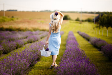 Blonde girl on a lavender field in a straw hat and blue dress.
