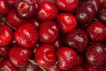 Close-up of fresh ripe cherries with water drops.Berries background.