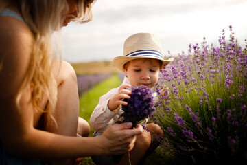 Little boy walking with his mother on a lavender field.