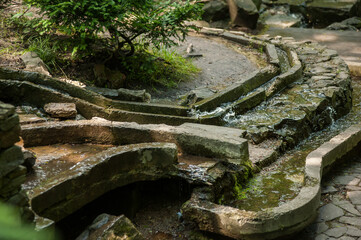 Fototapeta premium Summer city green park for recreation