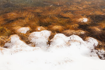 Reykjanes Coast, Iceland, Europe