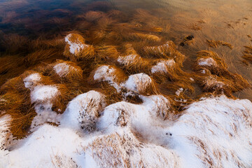 Reykjanes Coast, Iceland, Europe