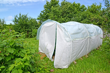 Modern arched greenhouse on the summer cottage