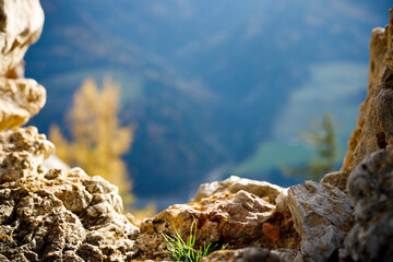 rocky mountain landscape in front of a forest in autumn