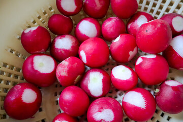 heap of washed cleaned organic red radish, ready to eat,  in bowl, top view 