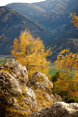 beautiful day in the austrian mountains with colorful trees and view down the valley