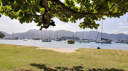 barcos, praia e natureza.