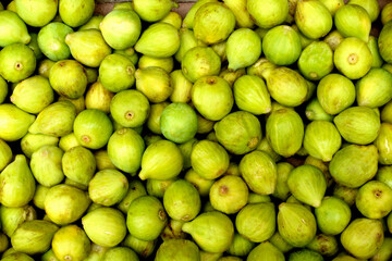 Green figs, fresh and ripe.