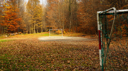 soccer field with goal at colorful yellow orange brown autumn in the park with many leaves 