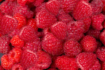 Red Raspberry Panorama Photo, raspberry isolated on black background. Background, texture made of red raspberry berries. Mock up. Close up