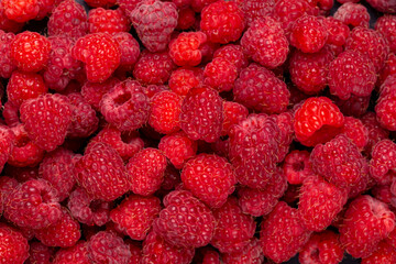 Red Raspberry Panorama Photo, raspberry isolated on black background. Background, texture made of red raspberry berries. Mock up. Close up