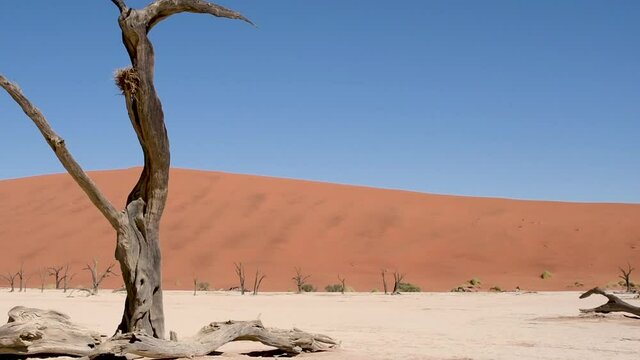 The sossusvlei desert