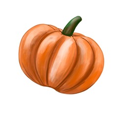 Orange pumpkin isolated on a white background. The element of autumn design. Halloween. Illustration.
